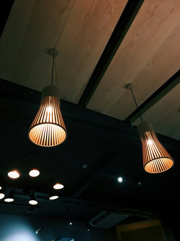 Lustre bois de cerf : l'élégance rustique à votre portée